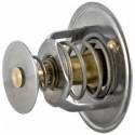 Termostat Massey Ferguson 1447384M1