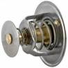 Termostat Massey Ferguson 1447384M1