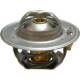 Termostat Massey Ferguson 1645921M1
