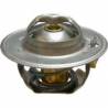 Termostat Massey Ferguson 1645921M1