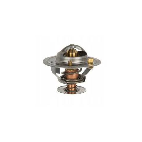 Termostat Massey Ferguson 4222845M1
