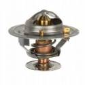 Termostat Massey Ferguson 4222845M1