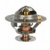 Termostat Massey Ferguson 4222845M1