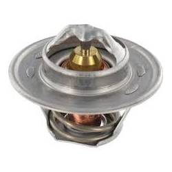 Termostat Massey Ferguson 3637650M1