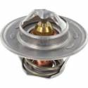 Termostat Massey Ferguson 3637650M1