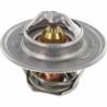 Termostat Massey Ferguson 3637650M1
