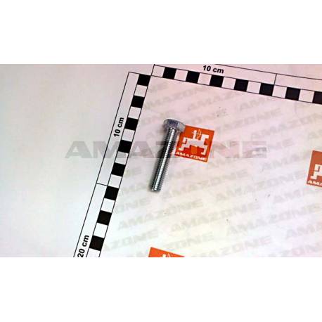 DC075 ŚRUBA SZEŚCIOKĄTNA AMAZONE AD