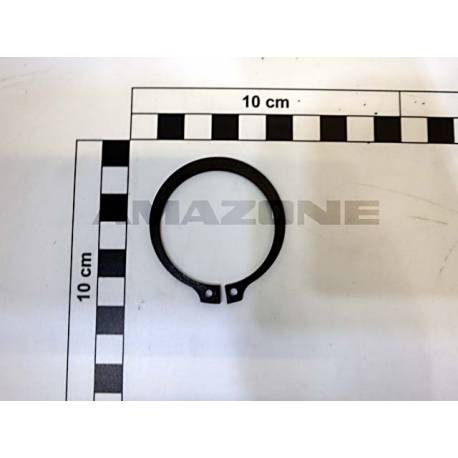 Pierścień zabezpieczający 45X1,75 Amazone ED