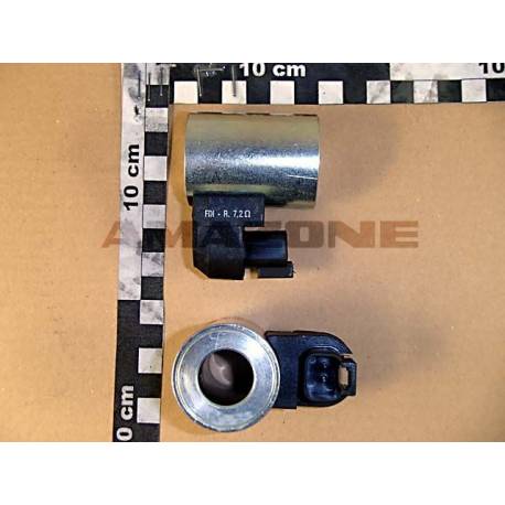 Y645300040 Cewka Amazone 12V